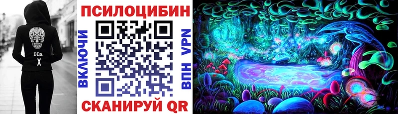 Купить  Торопец  Галлюциногенные грибы мухоморы 