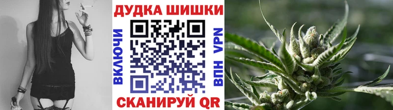 Купить закладки  Торопец  МАРИХУАНА ГИДРОПОН 